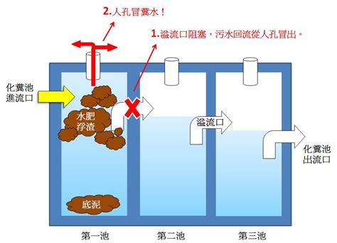 化糞池在哪|化糞池 找不到出水管路